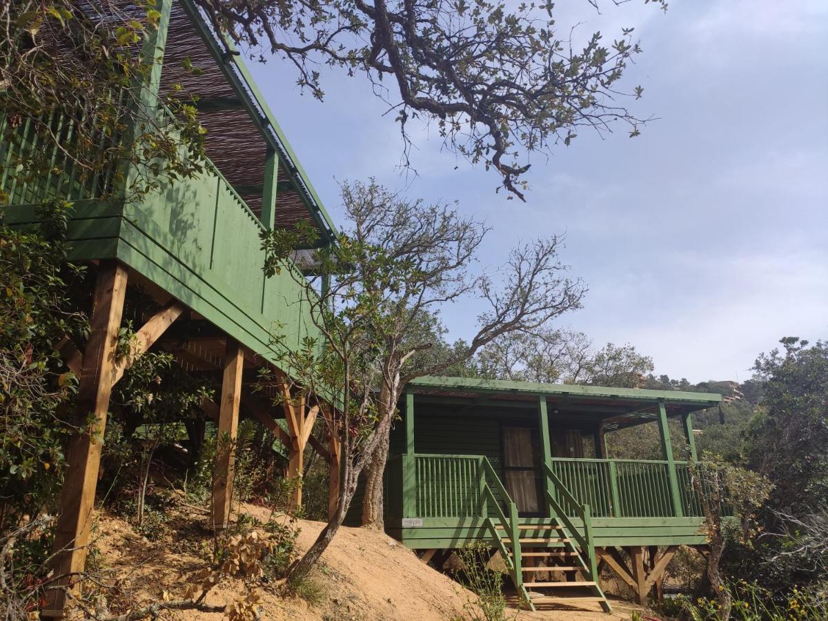 Pola Giverola Camp Tossa de Mar Exterior photo
